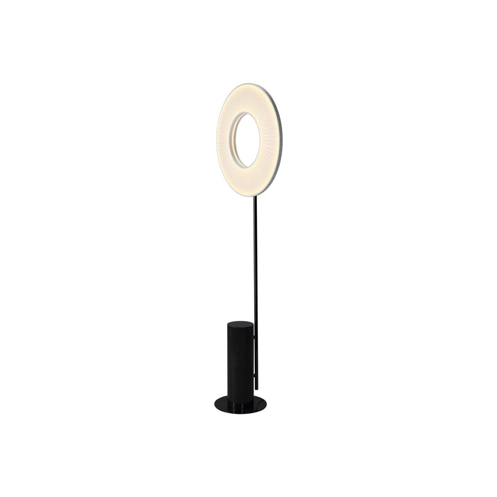 Iris LED Floor Lamp.