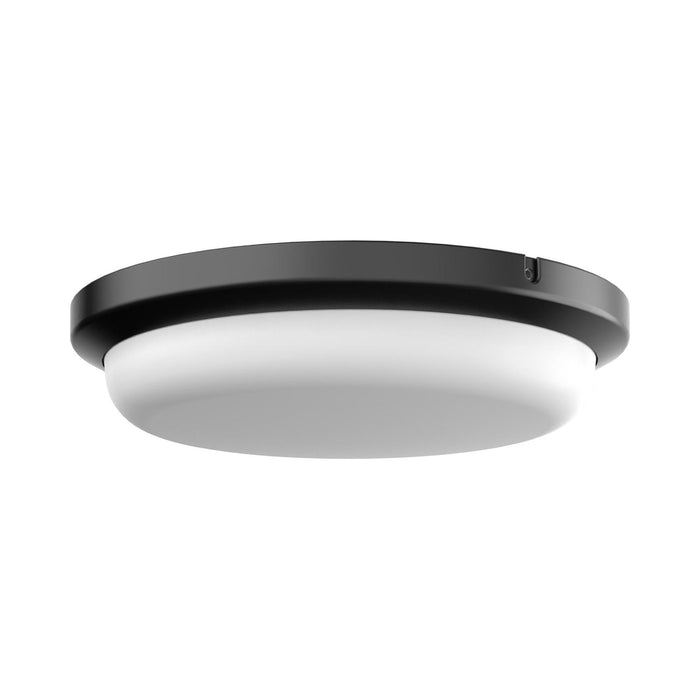 Dean Outdoor LED Flush Mount Ceiling Light in Black (11-Inch).