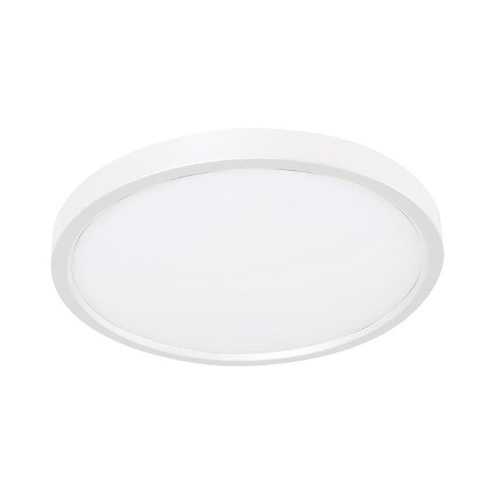 Edge Round LED Flush Mount Ceiling Light in White (12-Inch).