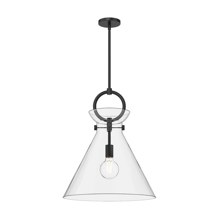 Emerson Pendant Light in Matte Black/Clear Glass (Large).