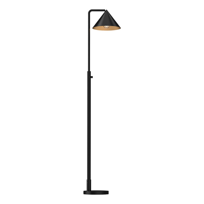 Remy Floor Lamp in Matte Black.