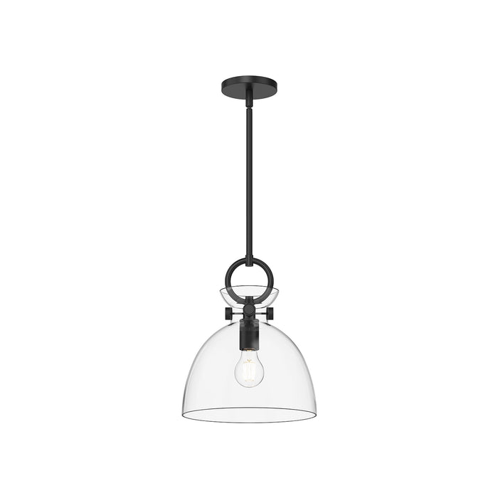 Waldo 4118 Pendant Light in Matte Black/Clear Glass (Small).