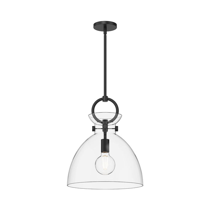 Waldo 4118 Pendant Light in Matte Black/Clear Glass (Medium).