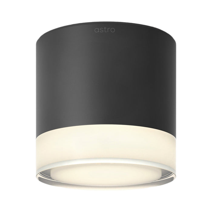 Ottawa Flush Mount Ceiling Light in Matt Black.