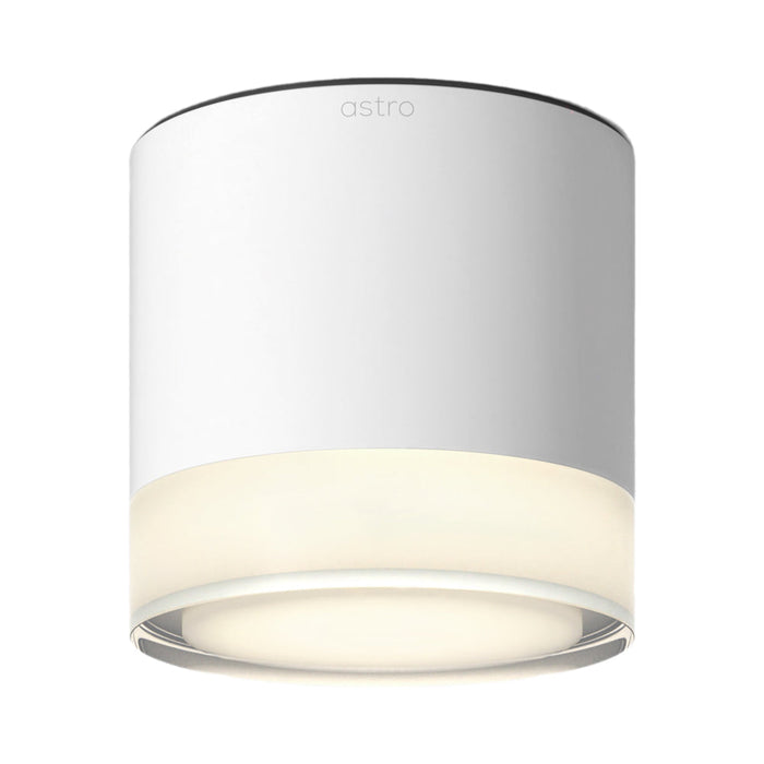 Ottawa Flush Mount Ceiling Light in Matt White.