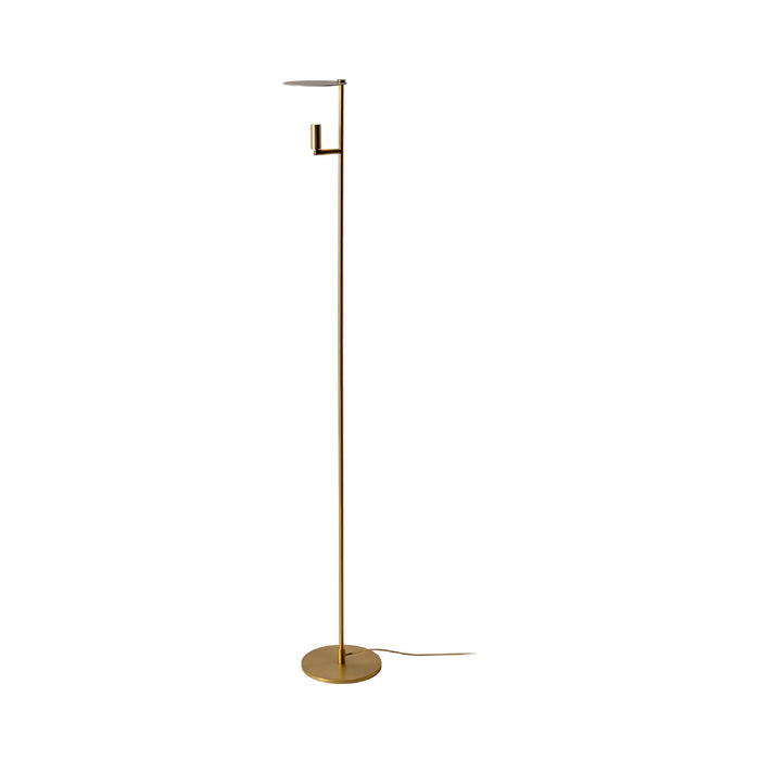 Kelly LED Floor Lamp in Gold/Gold.