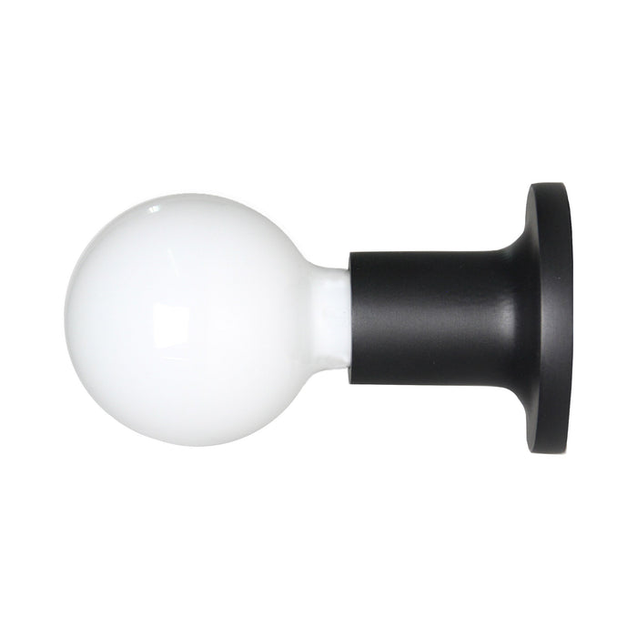 Punt Wall Light in Black (Without Switch).