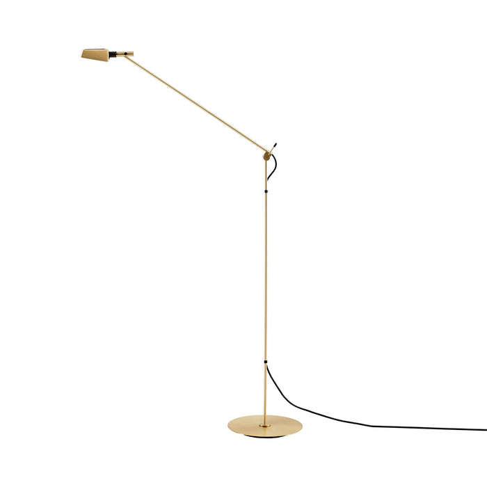 Tema LED Floor Lamp in Satin Gold.
