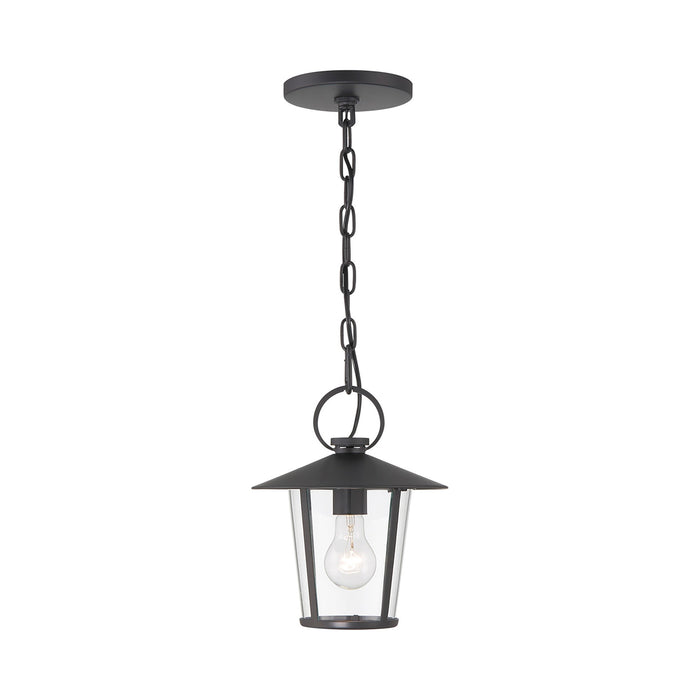 Andover Outdoor Pendant Light (1-Light/Clear).