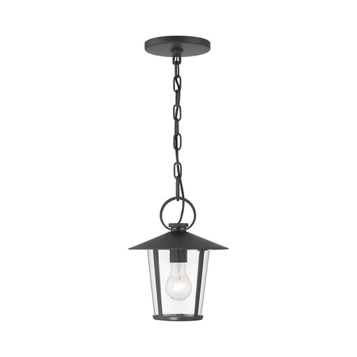 Andover Outdoor Pendant Light.