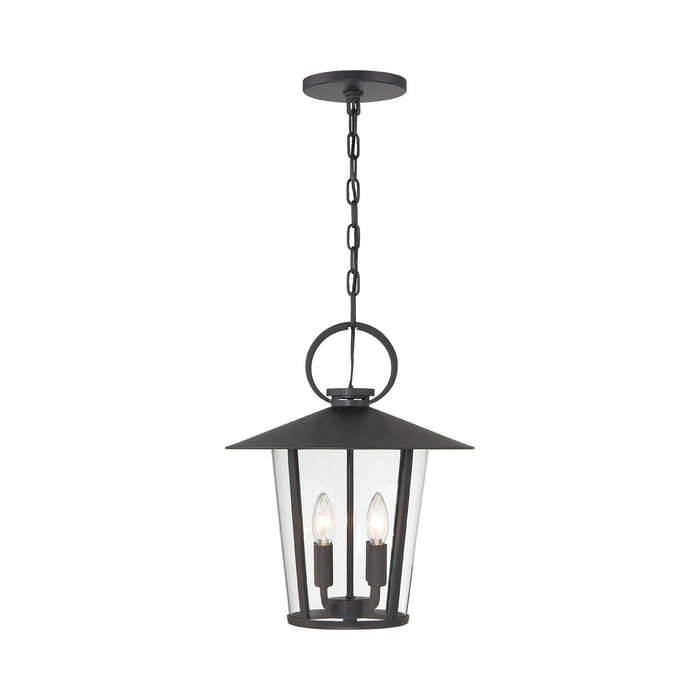 Andover Outdoor Pendant Light (4-Light/Clear).