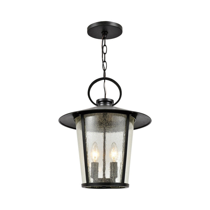 Andover Outdoor Pendant Light (4-Light/Seeded).