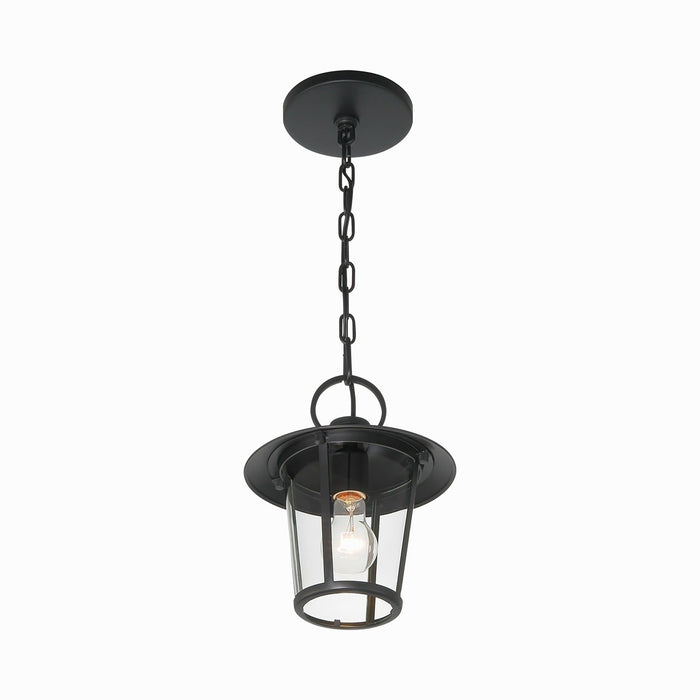 Andover Outdoor Pendant Light in Detail.