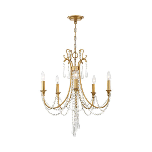 Arcadia Multi-Light Chandelier.