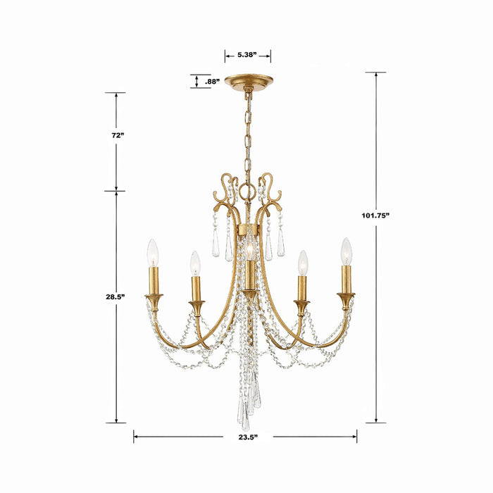 Arcadia Multi-Light Chandelier - line drawing.