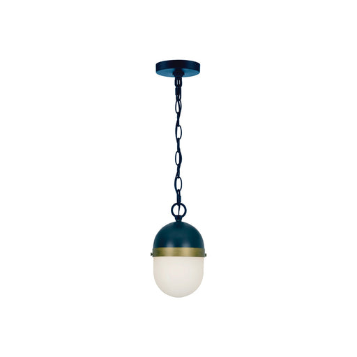 Capsule Outdoor Pendant Light.