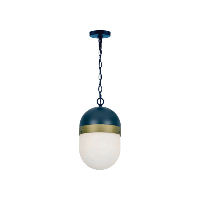 Capsule Outdoor Pendant Light (Medium).