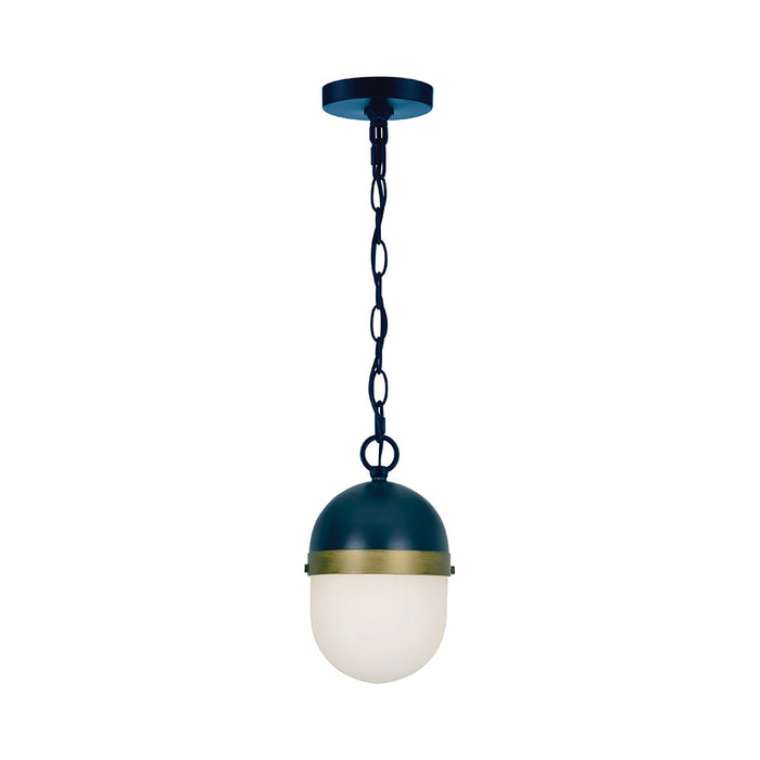 Capsule Outdoor Pendant Light (Large).