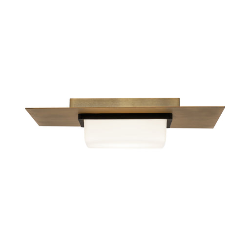 Double Decker LED Flush Mount Ceiling Light in Detail.