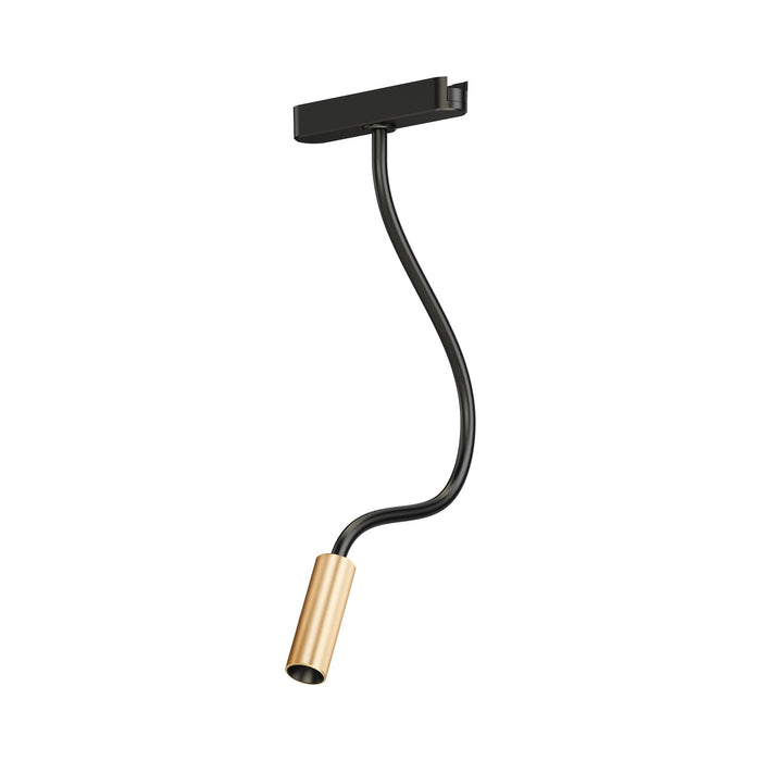 Continuum LED Reading Track Light in Black/Gold.
