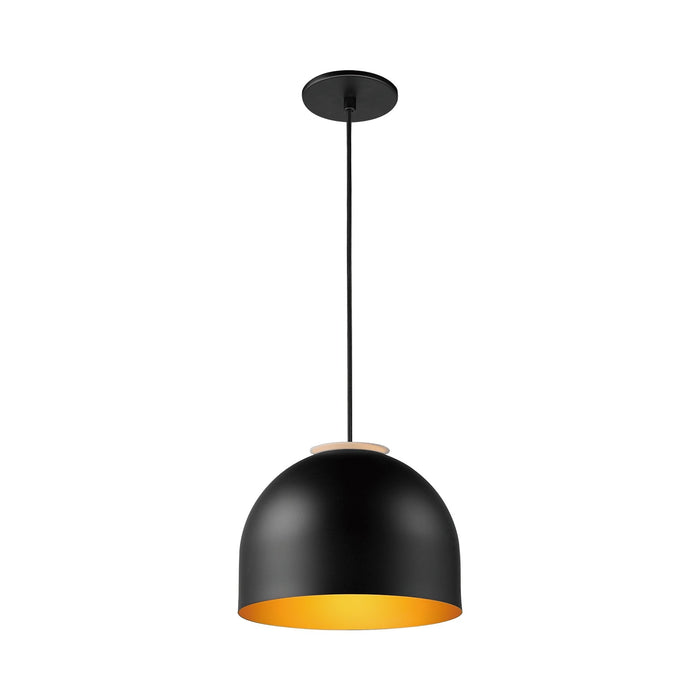 Foster Pendant Light in Black/Gold (Small).