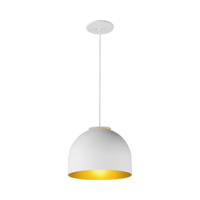 Foster Pendant Light in White/Gold (Small).