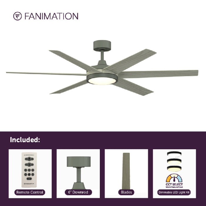 Brawn Indoor / Outdoor LED Ceiling Fan in Detail.