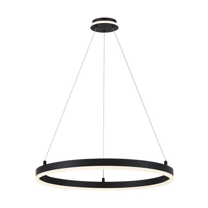 Recovery LED Pendant Light in Coal (Large).