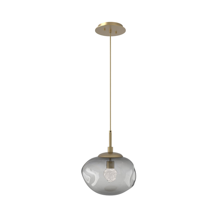 Nova LED Pendant Light in Gilded Brass/Smoke/Floret Crystal.