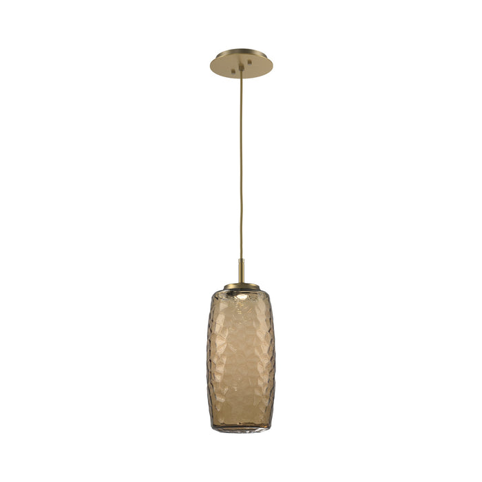 Vessel LED Pendant Light in Gilded Brass/Bronze.