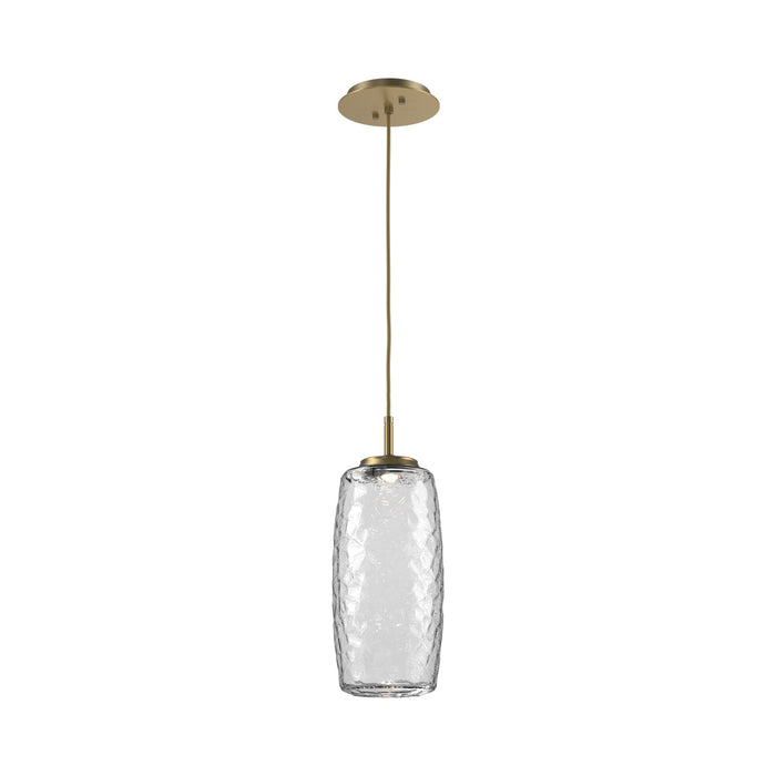 Vessel LED Pendant Light in Gilded Brass/Clear.