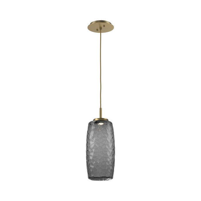Vessel LED Pendant Light in Gilded Brass/Smoke.