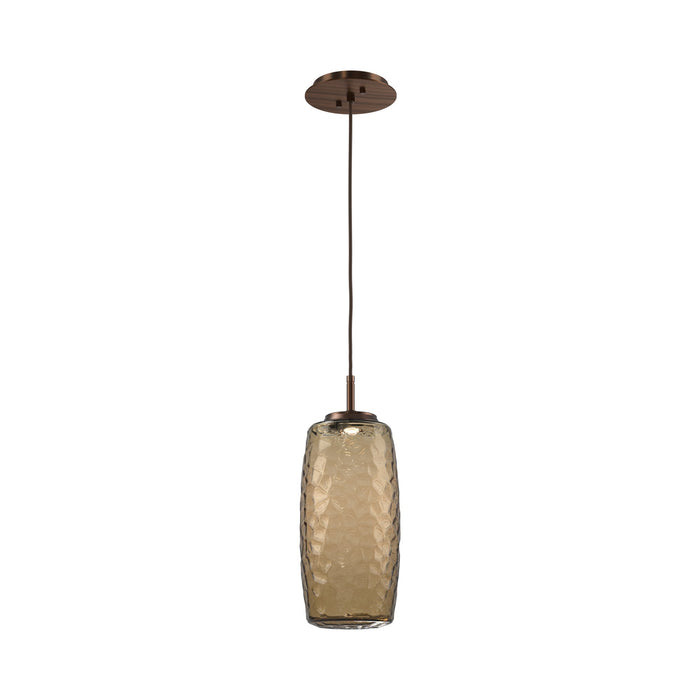 Vessel LED Pendant Light in Oil Rubbed Bronze/Bronze.