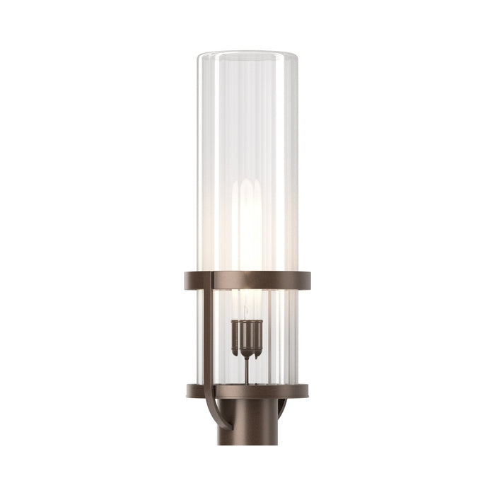 Alcove Outdoor Post Light in Coastal Bronze (Clear Glass).