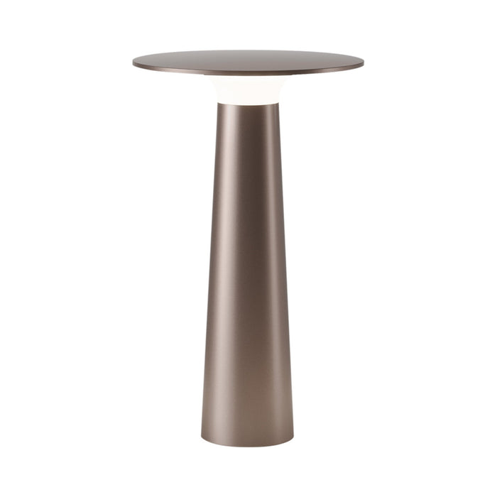 Lix Outdoor LED Portable Table Lamp in Bright Bronze.