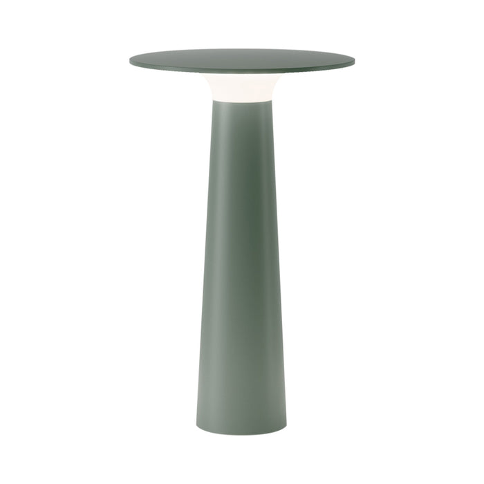 Lix Outdoor LED Portable Table Lamp in Sage.