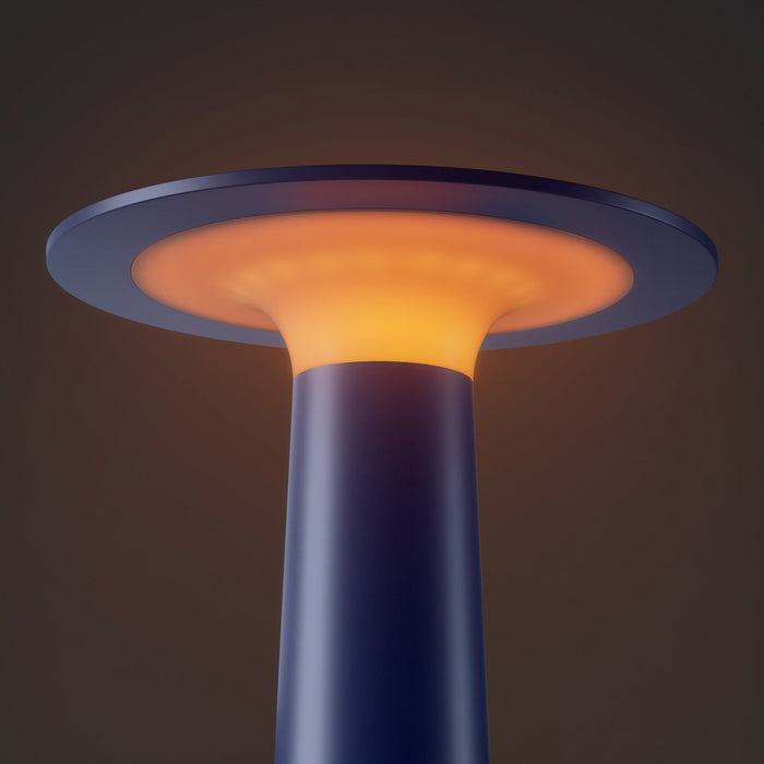 Lix Outdoor LED Portable Table Lamp in Detail.