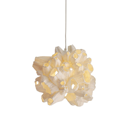 Barnacle Pendant Light.