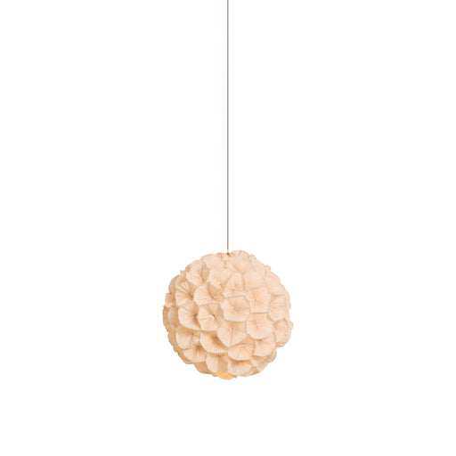 Poppy Pendant Light.