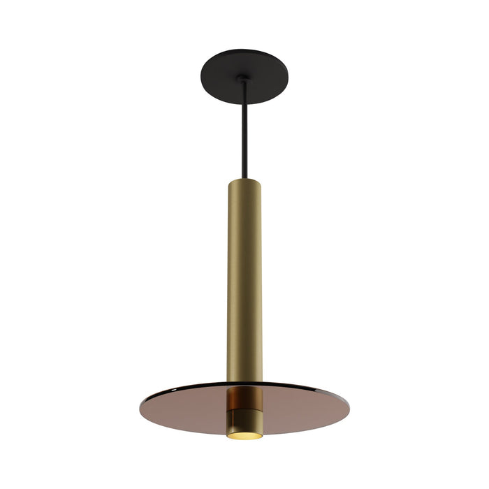 Combi LED Glass Pendant Light in Brass/Tea Brown (12-Inch).