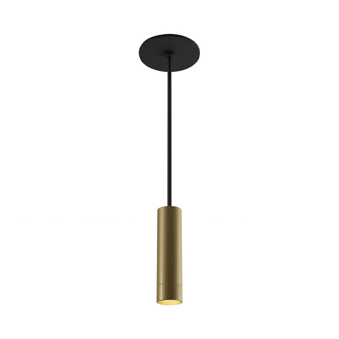 Combi LED Pendant Light in Brass (6-Inch).