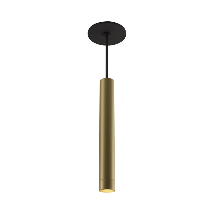 Combi LED Pendant Light in Brass (12-Inch).