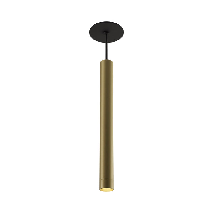 Combi LED Pendant Light in Brass (16-Inch).