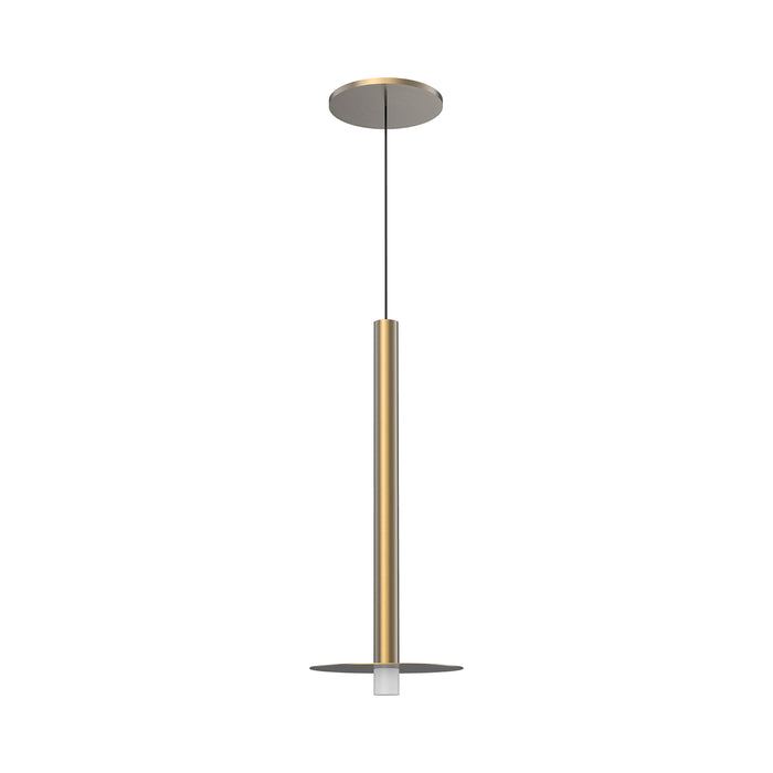 Elixir LED Pendant Light in Acrylic with Disc/Brushed Gold.