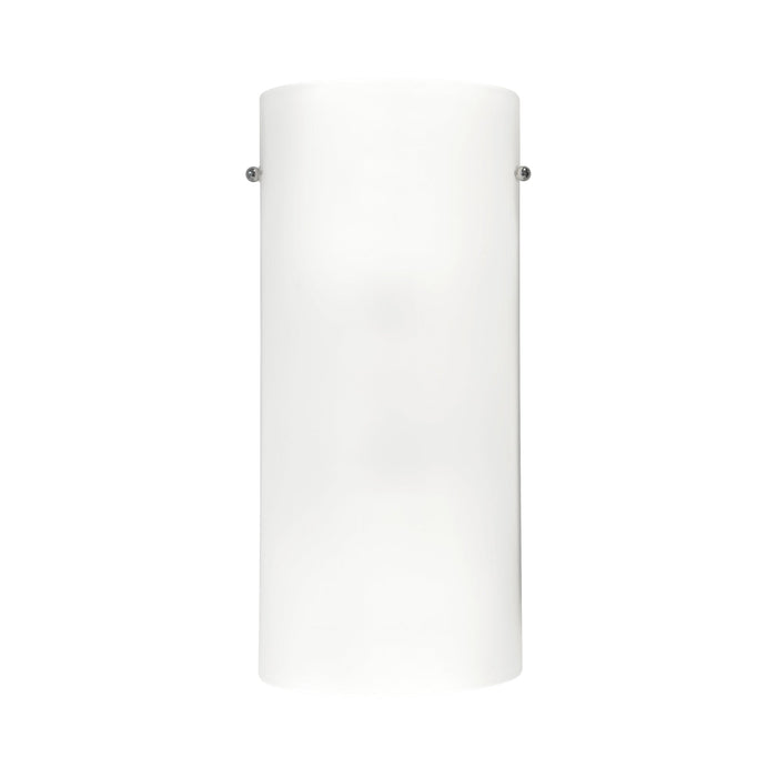 Hudson Wall Light in 13-Inch (Incandescent).