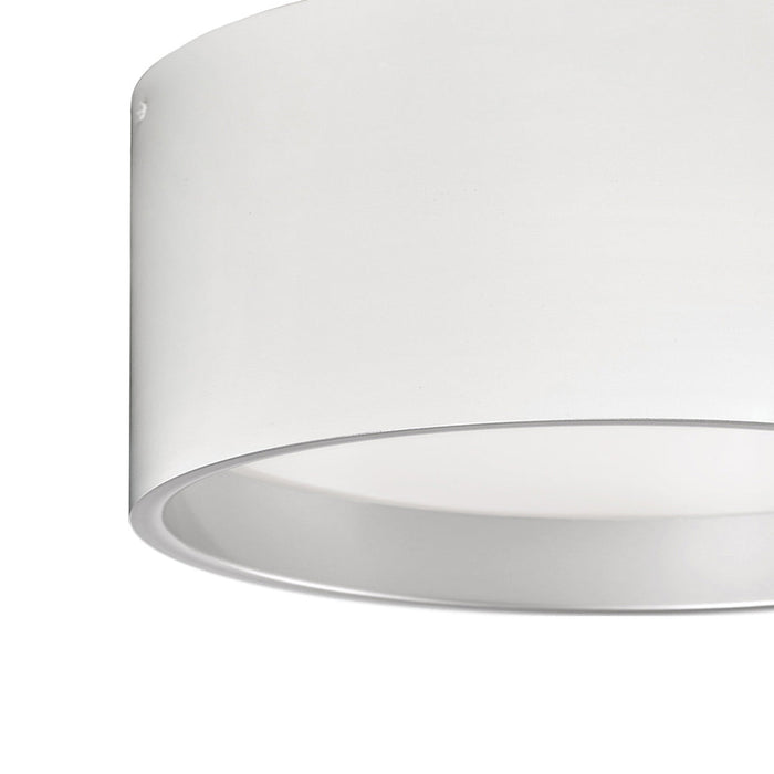 Mousinni LED Flush Mount Ceiling Light in Detail.