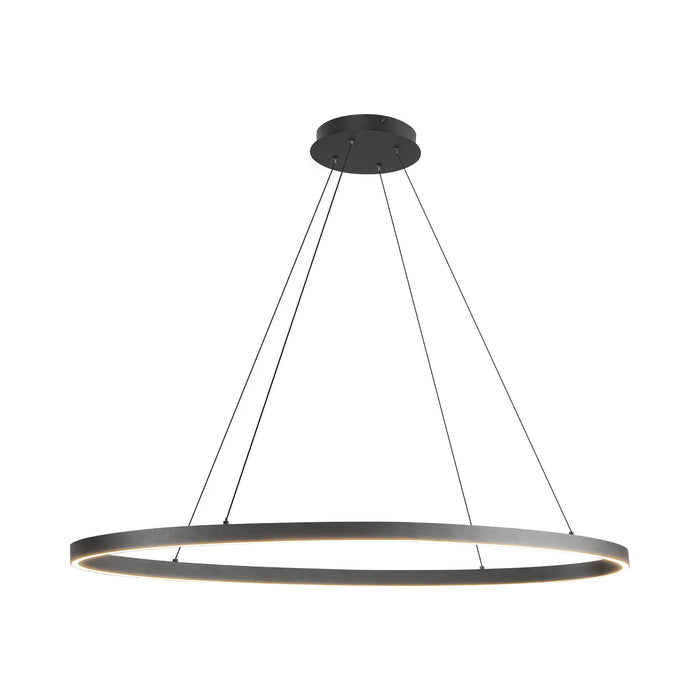 Ovale LED Linear Pendant Light in Black (Small).