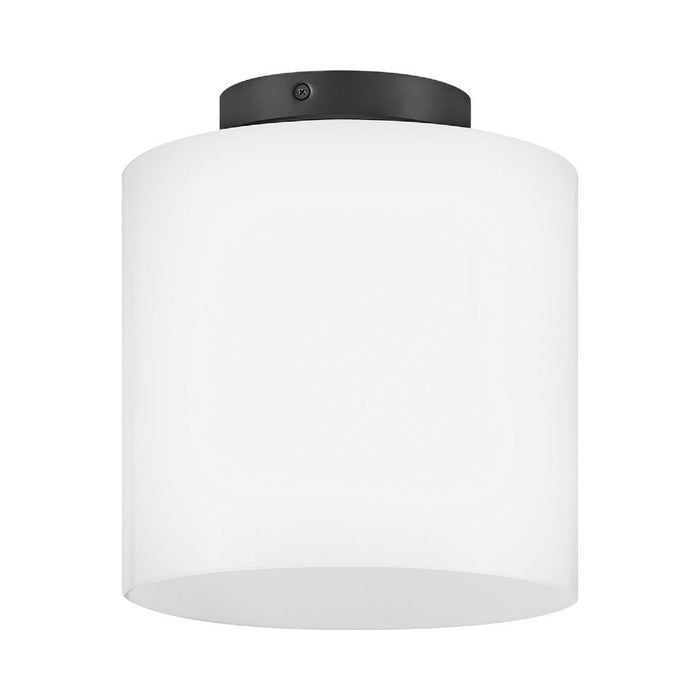 Pippa Flush Mount Ceiling Light in Black.