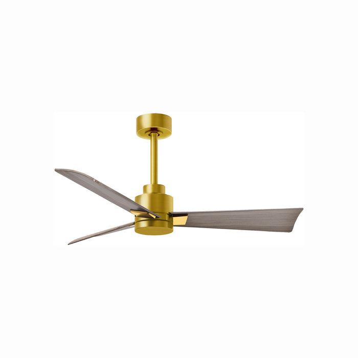 Alessandra Indoor / Outdoor Ceiling Fan in Brushed Brass/Gray Ash (42-Inch).