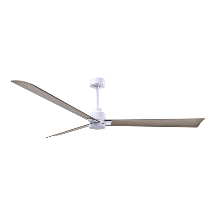 Alessandra Indoor / Outdoor Ceiling Fan in Matte White/Gray Ash (72-Inch).